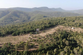 Cabanon Provençal